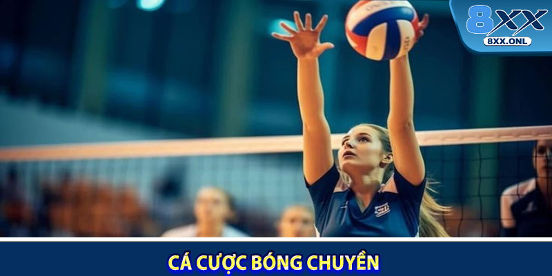 Cá cược bóng chuyền