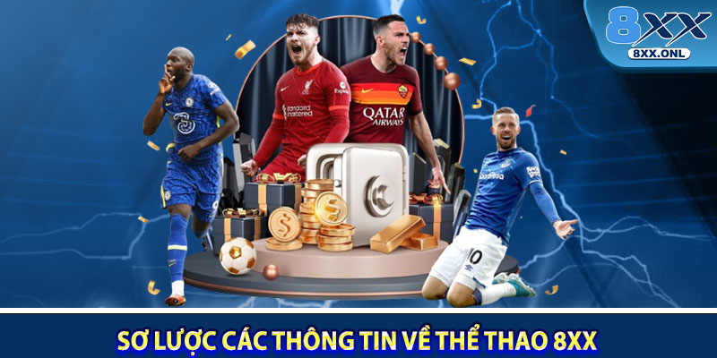 Sơ lược các thông tin về thể thao 8XX