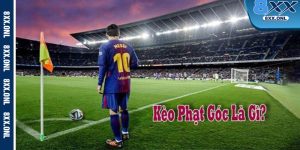 Hieu keo phat goc la gi tai 8xx Ly do thu va cach ca cuoc